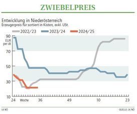 Grafik Zwiebelpreis 35 2024.jpg