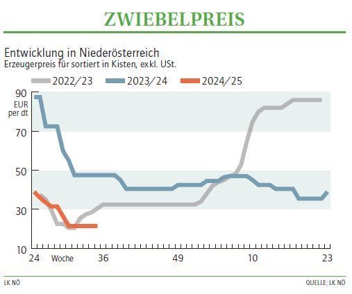 Grafik Zwiebelpreis 35_2024.jpg © LK NÖ