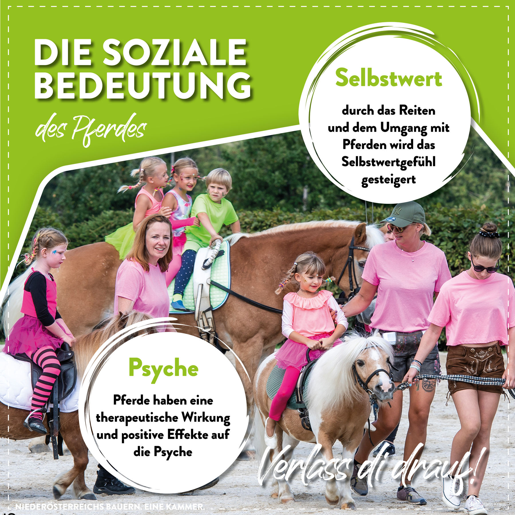 © LK Niederösterreich © LK Niederösterreich