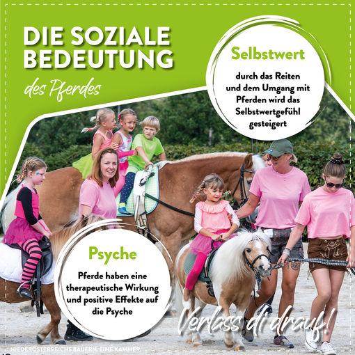 © LK Niederösterreich © LK Niederösterreich