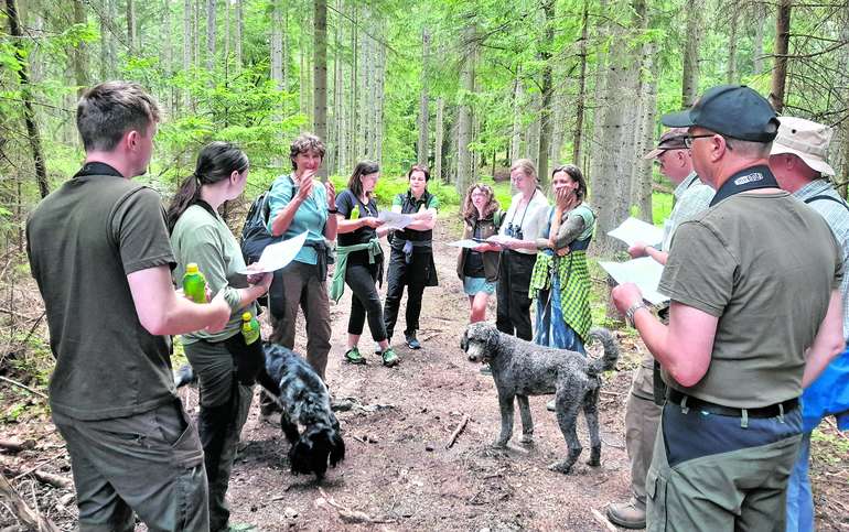 ZLG Wald und Naturraumökologie 2024.jpg