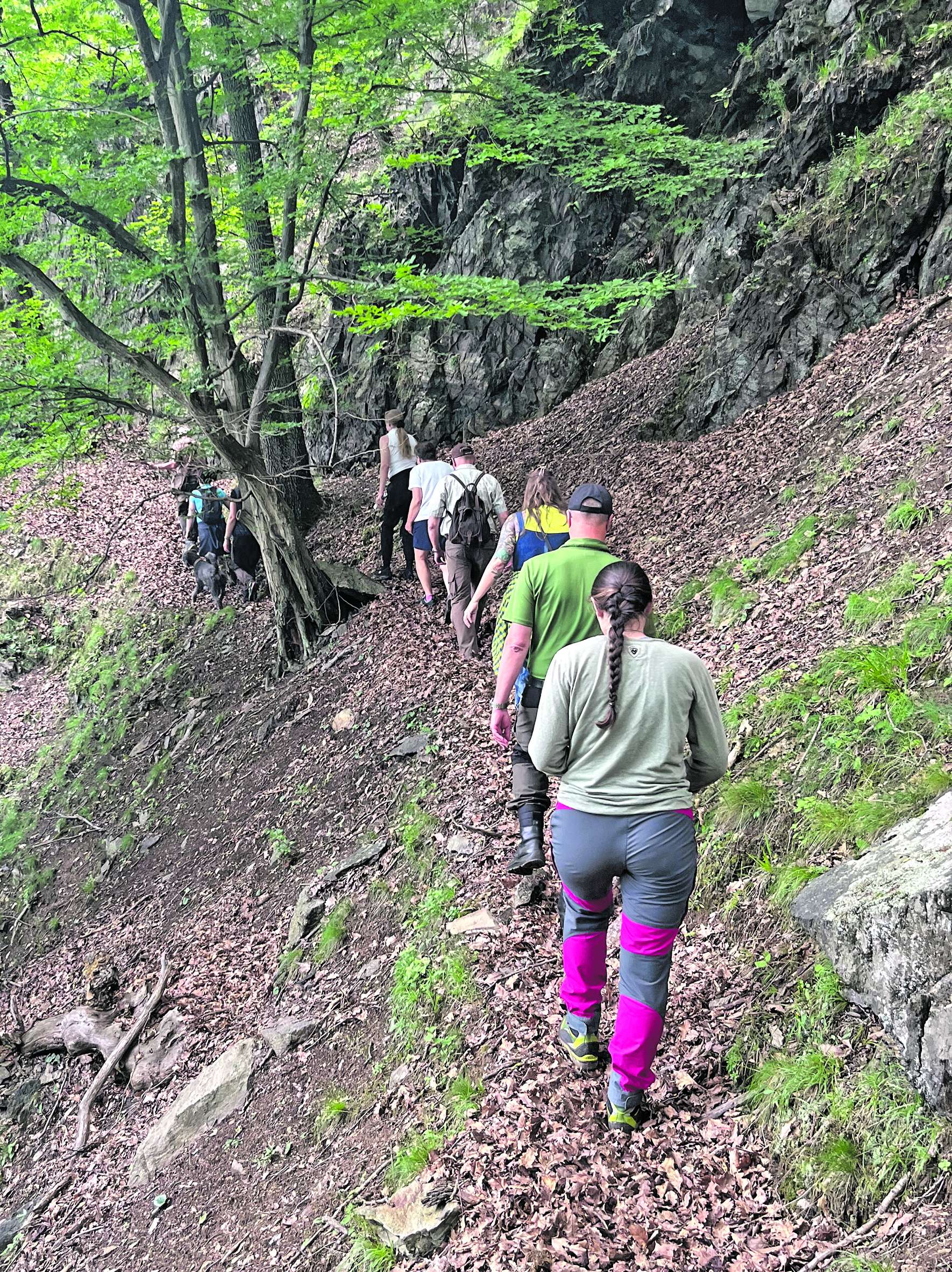 ZLG Wald und Naturraumökologie .jpg