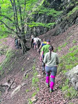 ZLG Wald und Naturraumökologie .jpg