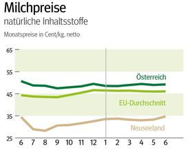 NÖ: Ausblick auf den Milchmarkt im September