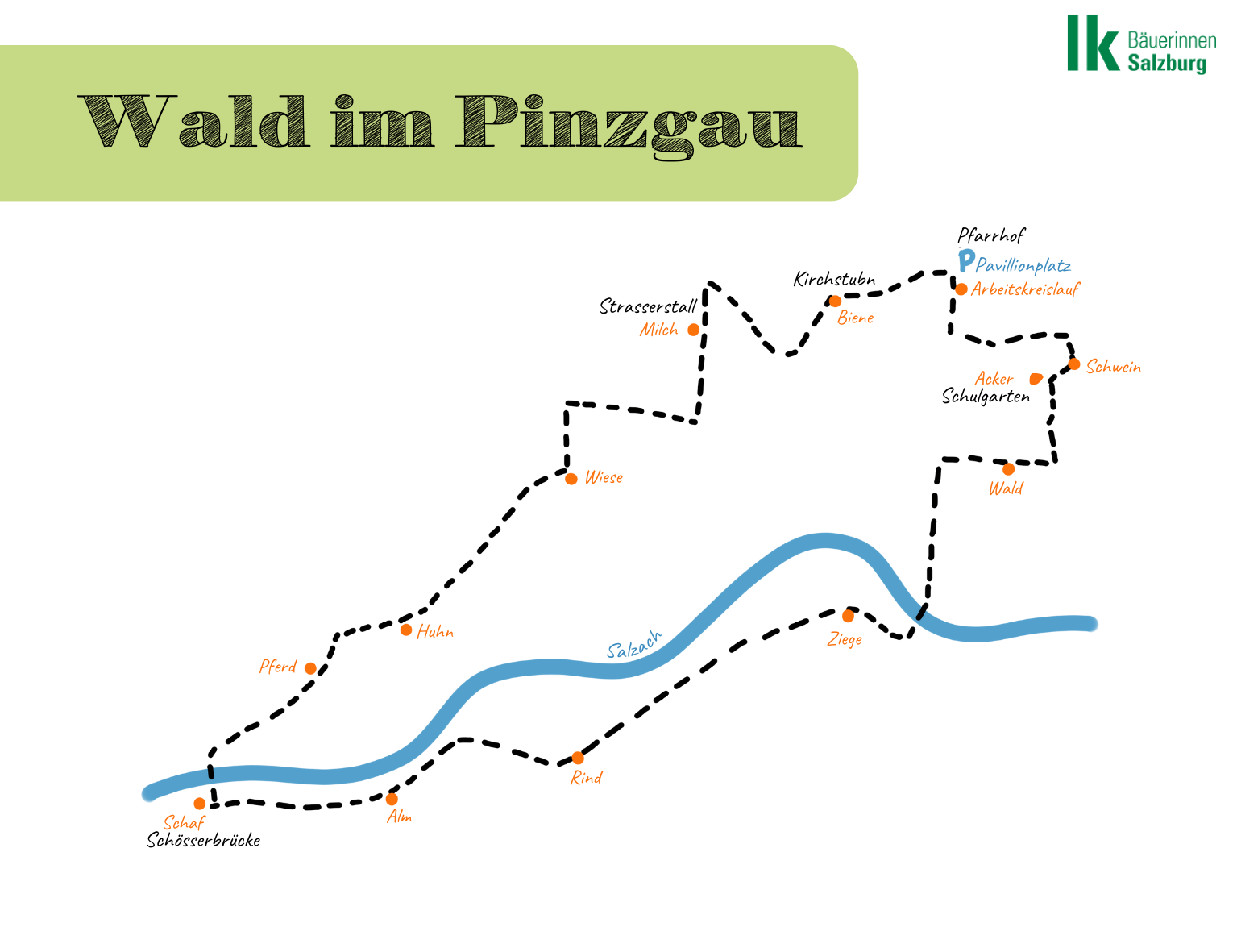 Wald im Pinzgau.png © Archiv Wald im Pinzgau.png © Archiv