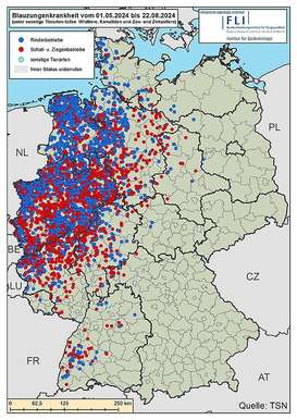 Verbreitung der Blauzungenkrankheite in Deutschland.jpg