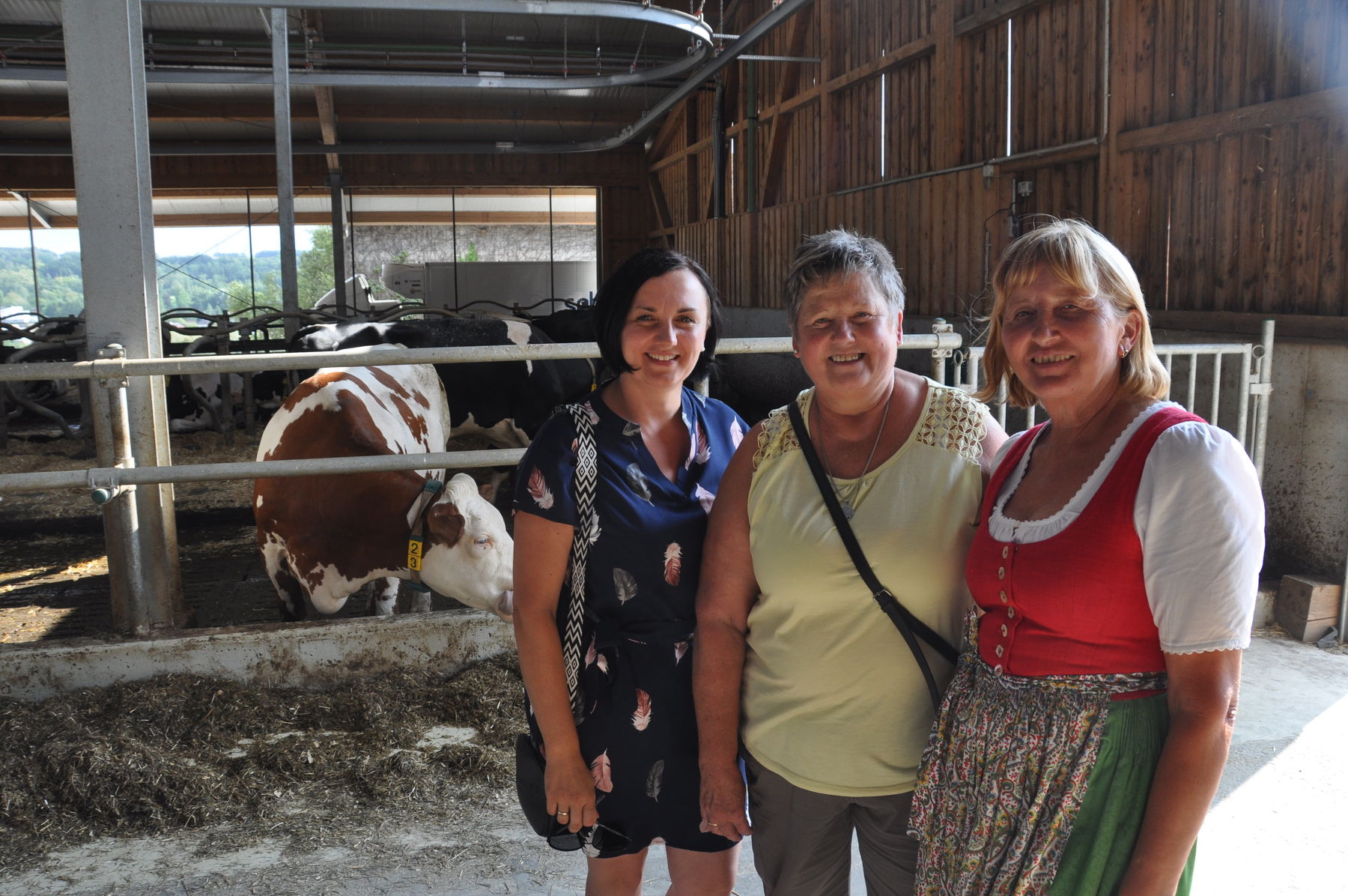 DSC_0895.jpg © BBK Amstetten DSC_0895.jpg © BBK Amstetten