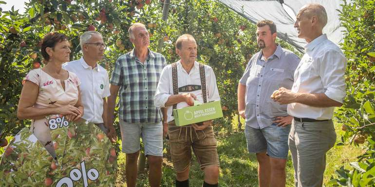 PK Aplelernte 2024 © LK Steiermark-Danner PK Aplelernte 2024 © LK Steiermark-Danner