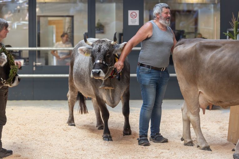 Tag der Landwirtschaft © LK Vbg.