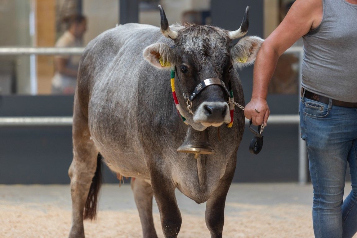 Tag der Landwirtschaft © LK Vbg.