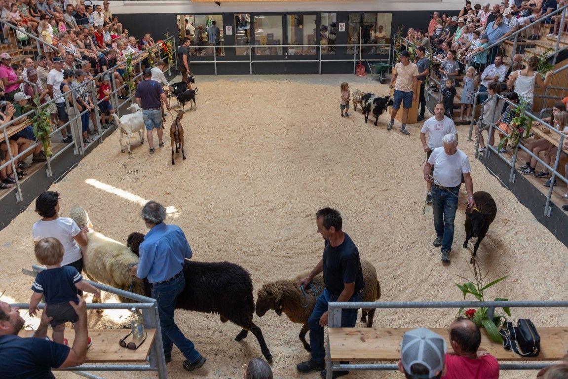 Tag der Landwirtschaft © LK Vbg.