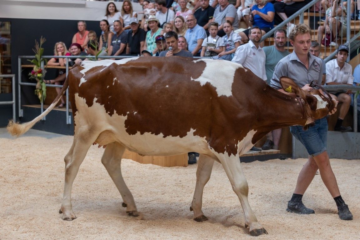 Tag der Landwirtschaft © LK Vbg.