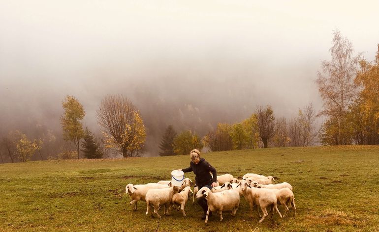 Pferd_beruehren_Imagebild.jpg © Eduard Penker Pferd_beruehren_Imagebild.jpg © Eduard Penker