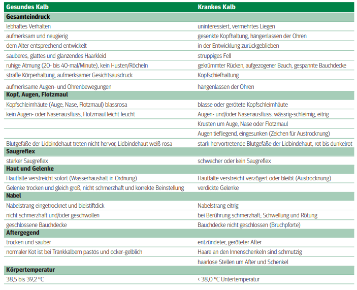 Anzeichen von gesunden und kranken Kälbern.png © Erika Gusterer