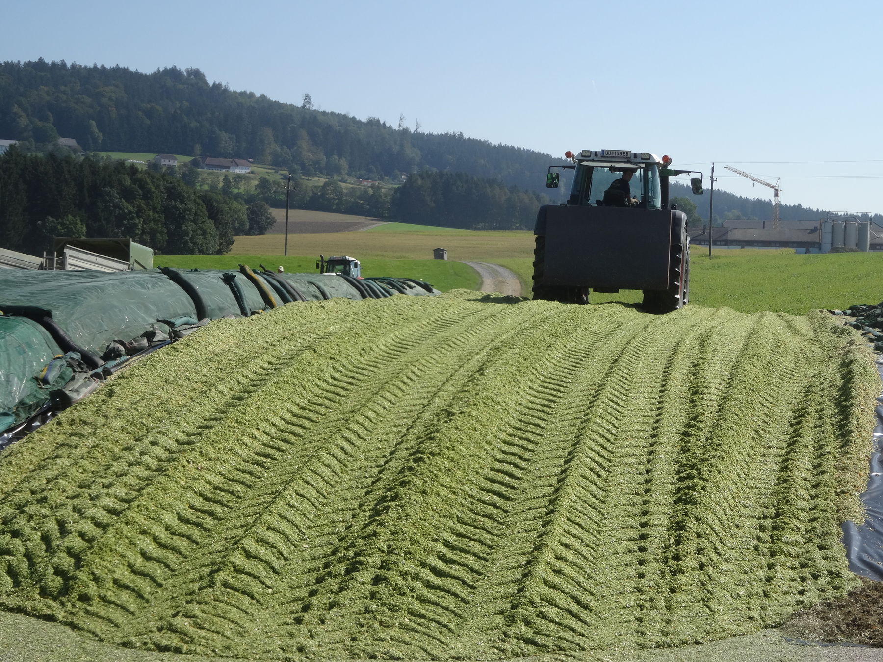 Abb. 2. Walzarbeit Maissilage.jpg