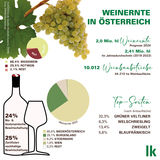 Weinernte 2024 Zahlen und Fakten.jpg