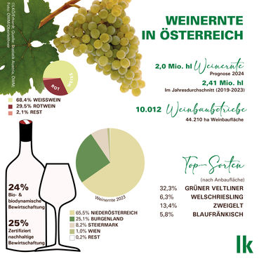 Weinernte 2024 Zahlen und Fakten.jpg