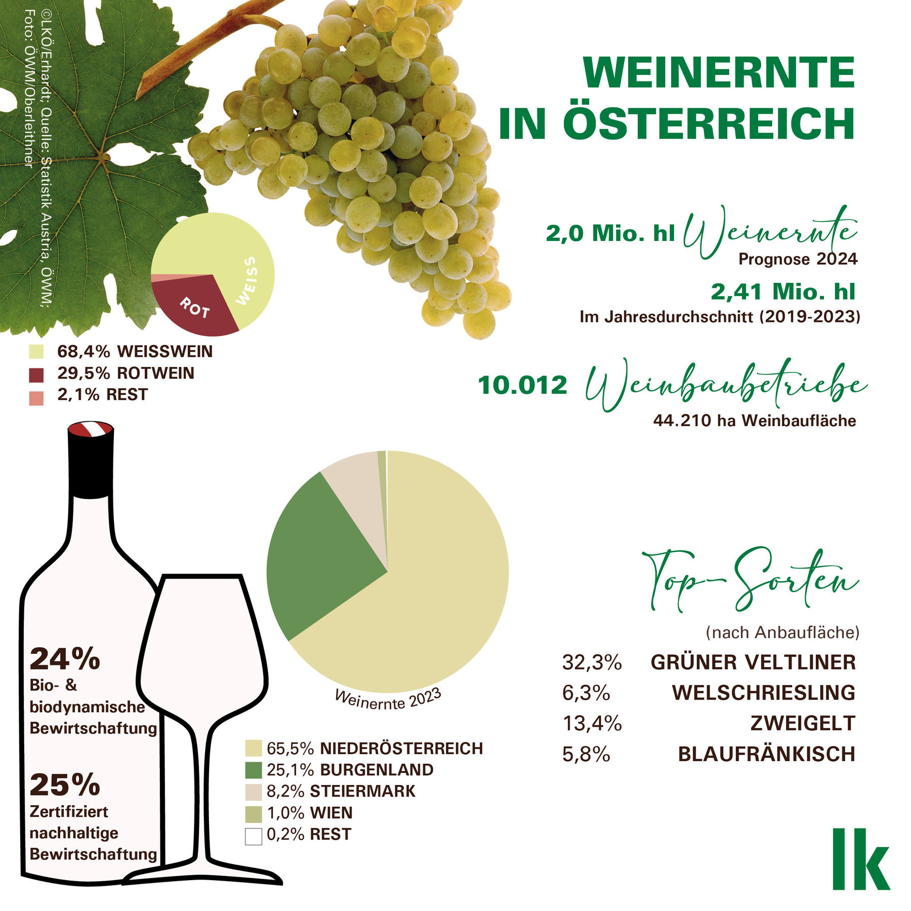 weinernte 01.jpg