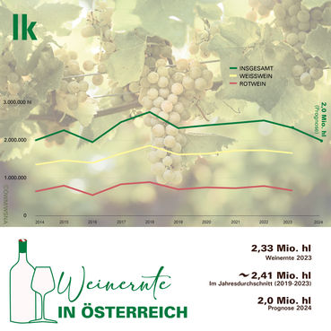 weinernte 02.jpg