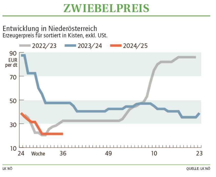 Grafik Zwiebelpreis 36_2024.jpg © LK NÖ