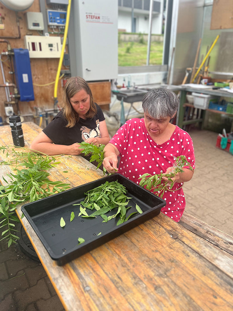 Green Care_Dorner Hof2 © LK Vbg.jpg © LK Vbg. Green Care_Dorner Hof2 © LK Vbg.jpg © LK Vbg.