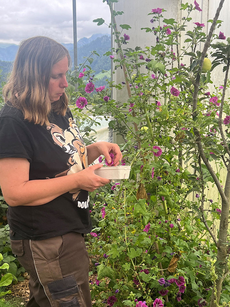 Green Care_Dorner Hof3 © LK Vbg.jpg © LK Vbg. Green Care_Dorner Hof3 © LK Vbg.jpg © LK Vbg.