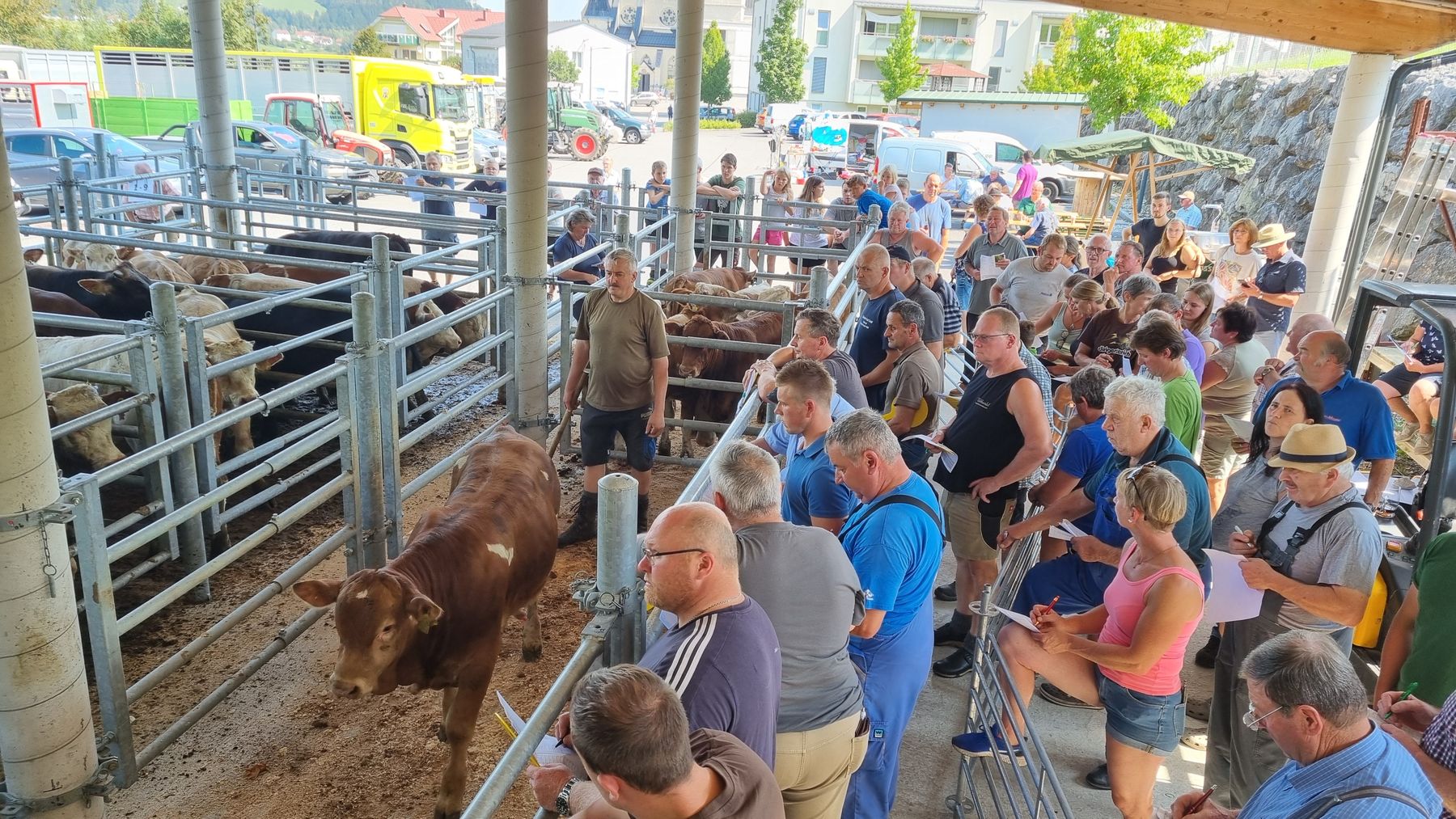 Einsteller Markt Maria Neustift 29.08.2024.jpg