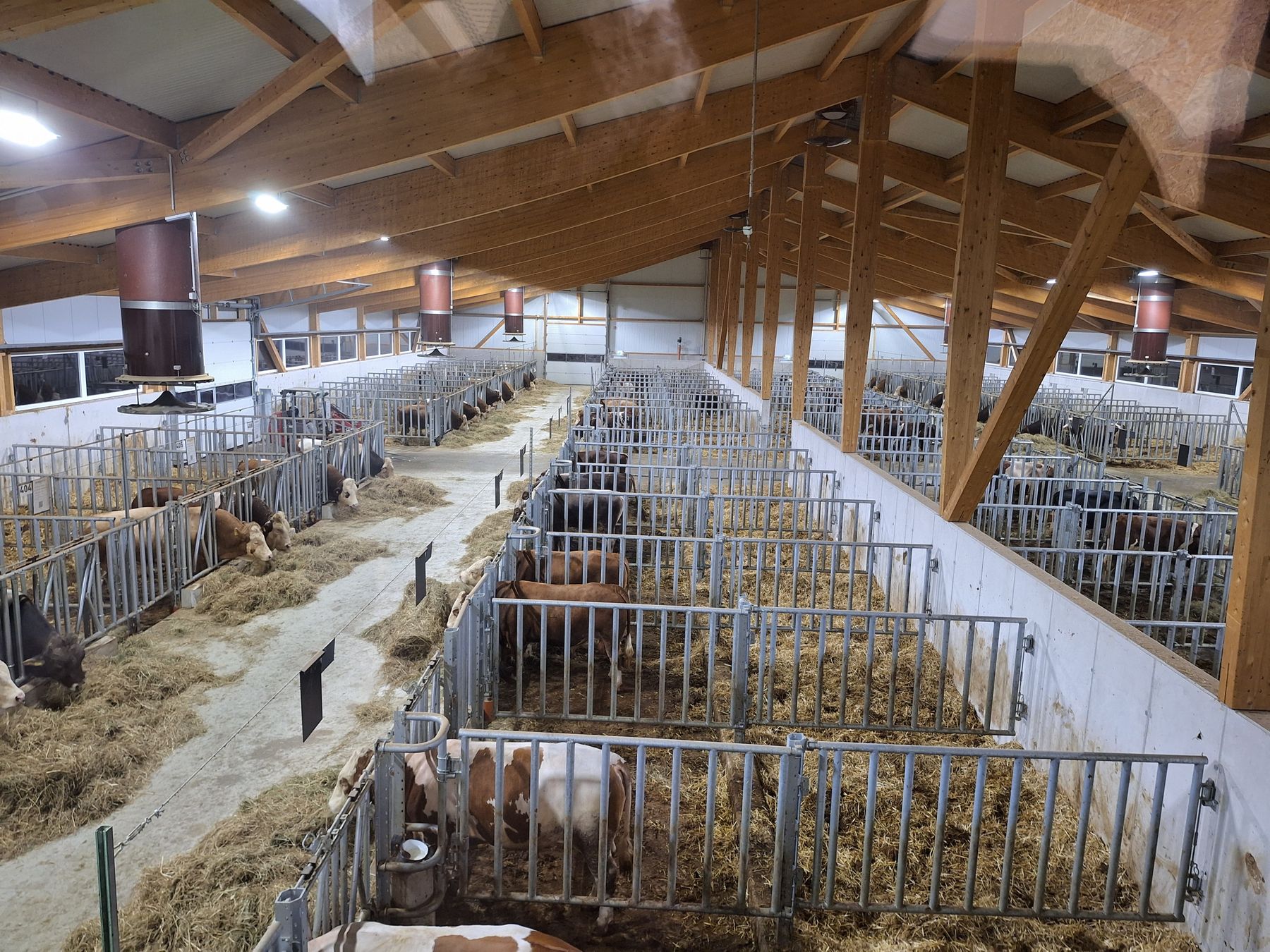 Stallabend_Stierstall.jpg © Stefanie Esseltzbichler Stallabend_Stierstall.jpg © Stefanie Esseltzbichler