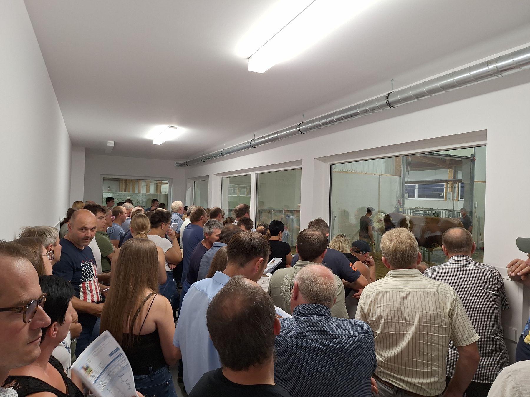 Stallabend_Stiervorführung (2).jpg © Stefanie Esseltzbichler Stallabend_Stiervorführung (2).jpg © Stefanie Esseltzbichler