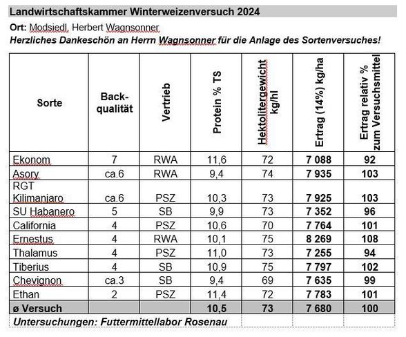 Sortenversuch Winterweichweizen.jpg