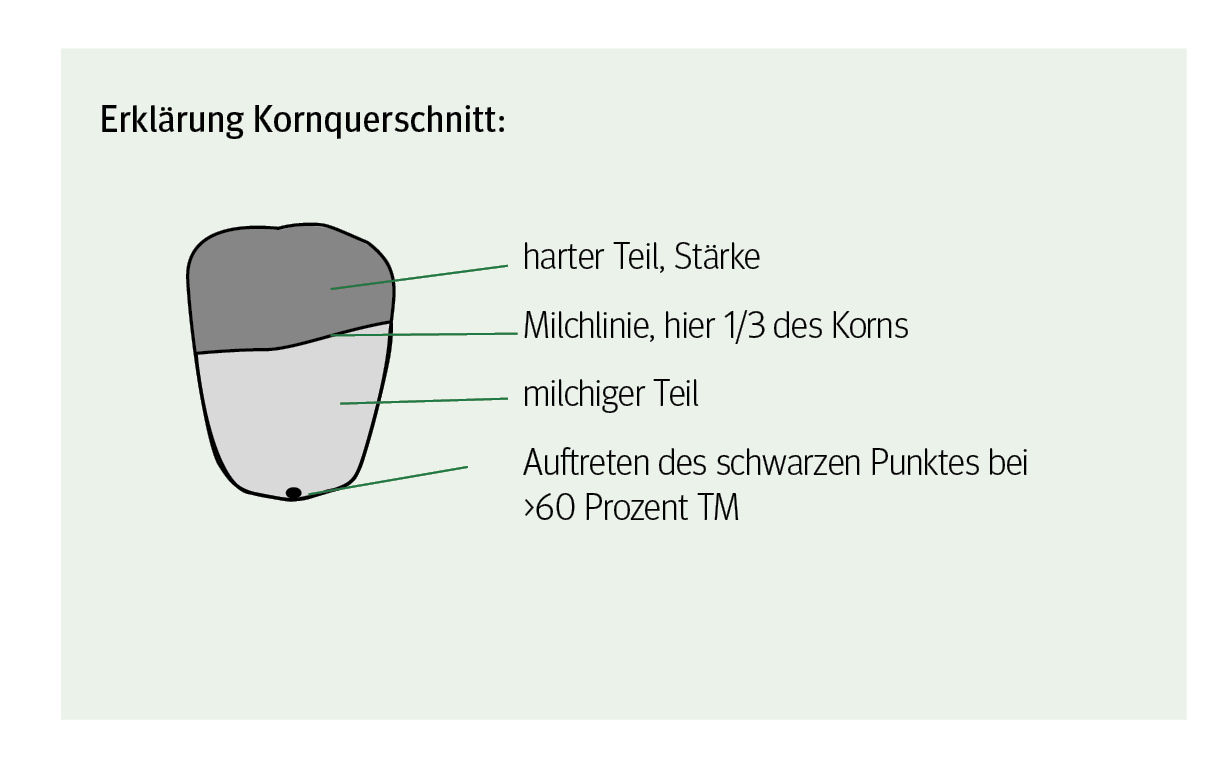 Seite 6-2.jpg © LK Tirol Seite 6-2.jpg © LK Tirol