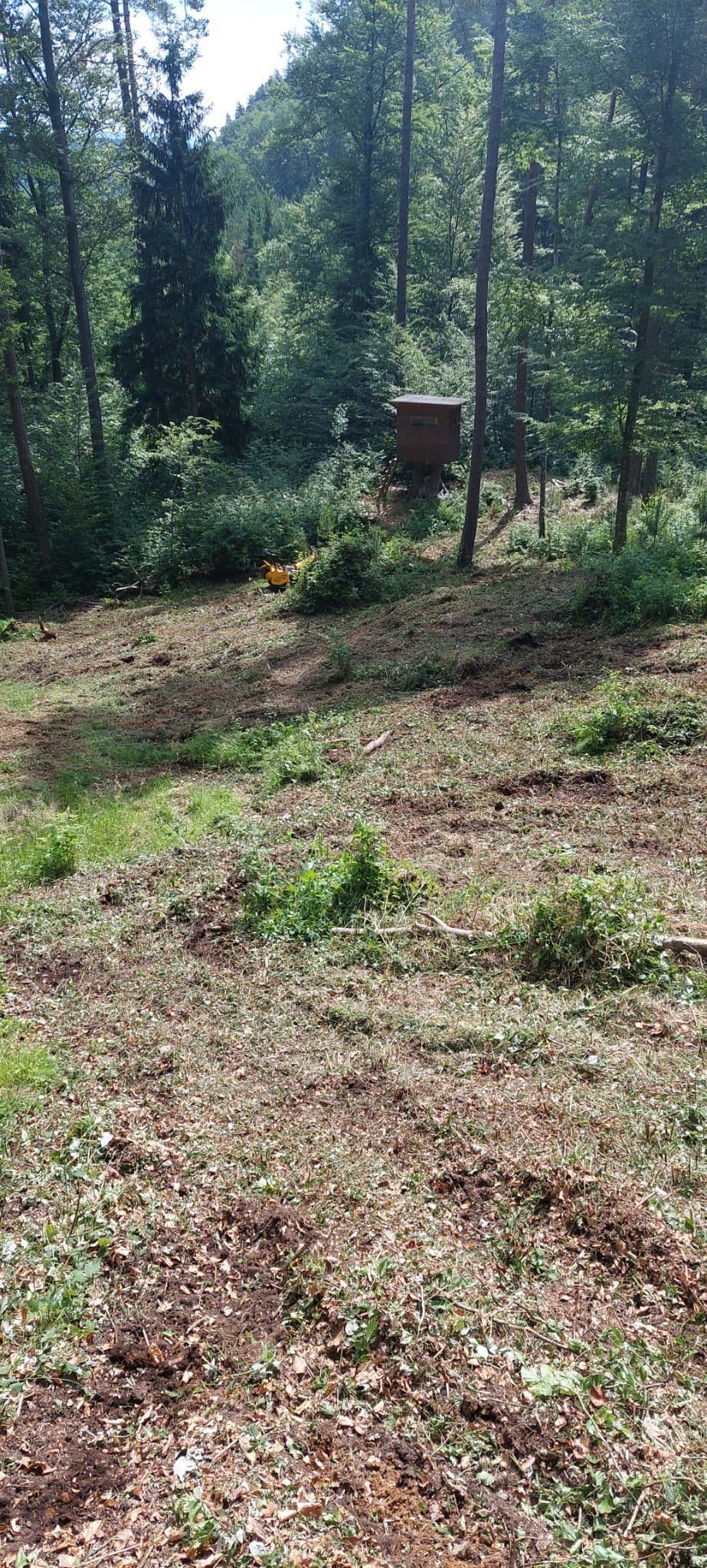 Vorher Nachher Hochsitz rechts (1).jpg © Alfred Gucher Vorher Nachher Hochsitz rechts (1).jpg © Alfred Gucher