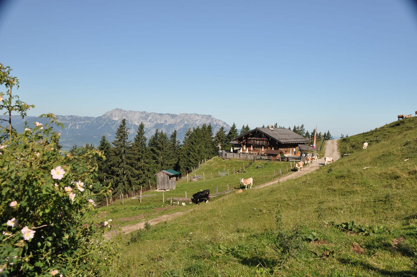 Zillhütte 1.jpg