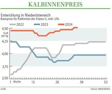 Grafik Kalbinnenpreis 37/2024.jpg © Archiv