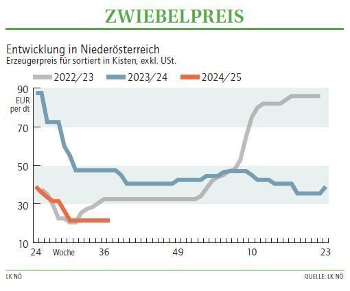 Grafik Zwiebelpreis 37/2024.jpg © Archiv