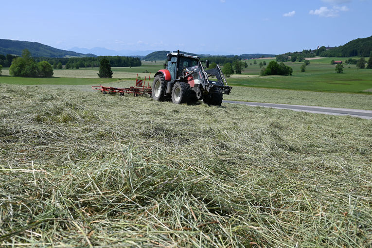 Heuernte.jpg © Dürnberger Heuernte.jpg © Dürnberger