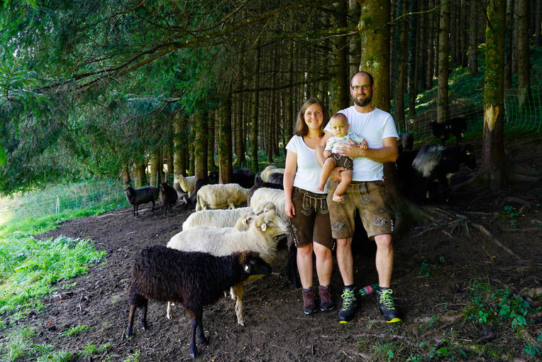 Eine wollige Alternative zum Milchvieh: Ulmhof in St. Lorenz.jpg © Kronreif Eine wollige Alternative zum Milchvieh: Ulmhof in St. Lorenz.jpg © Kronreif