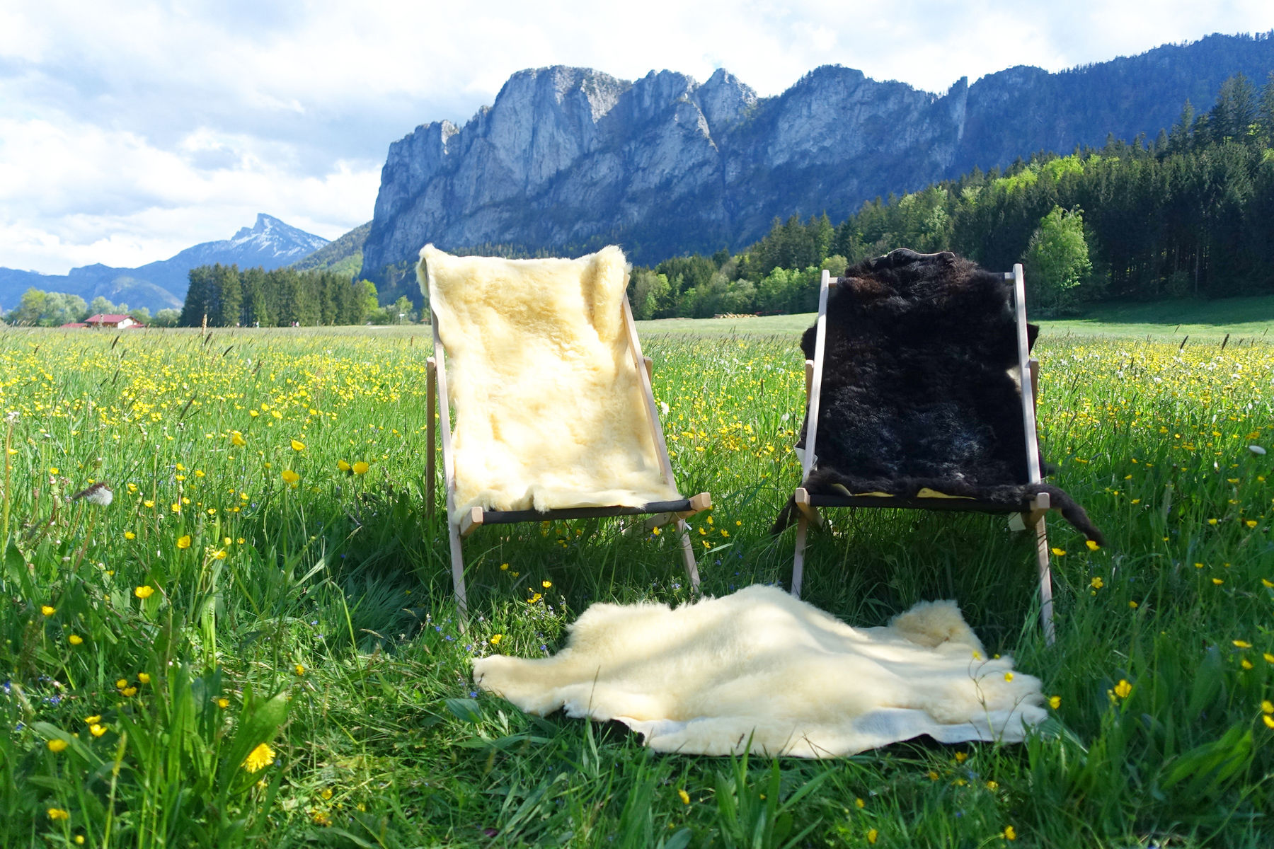 Eine wollige Alternative zum Milchvieh: Ulmhof in St. Lorenz.jpg © Privat Eine wollige Alternative zum Milchvieh: Ulmhof in St. Lorenz.jpg © Privat
