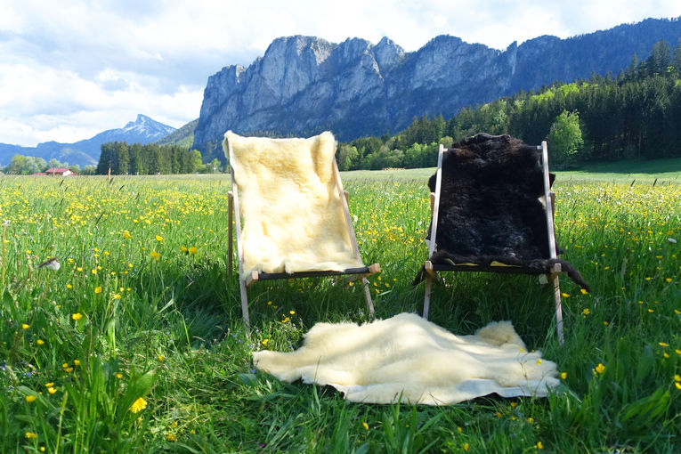 Eine wollige Alternative zum Milchvieh: Ulmhof in St. Lorenz.jpg © Privat Eine wollige Alternative zum Milchvieh: Ulmhof in St. Lorenz.jpg © Privat