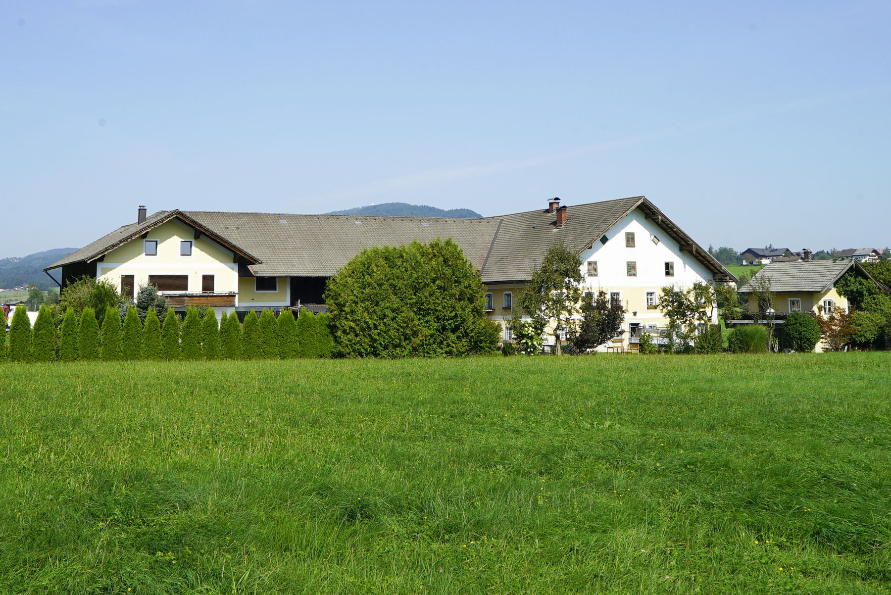 Eine wollige Alternative zum Milchvieh: Ulmhof in St. Lorenz.jpg