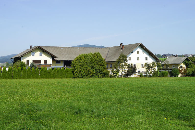 Eine wollige Alternative zum Milchvieh: Ulmhof in St. Lorenz.jpg © Kronreif Eine wollige Alternative zum Milchvieh: Ulmhof in St. Lorenz.jpg © Kronreif