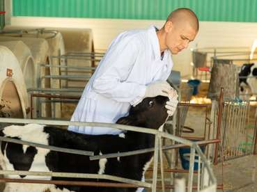 Blauzunge ©AdobeStock_947109021 (Mittel).jpg © Adobe Stock Blauzunge ©AdobeStock_947109021 (Mittel).jpg © Adobe Stock