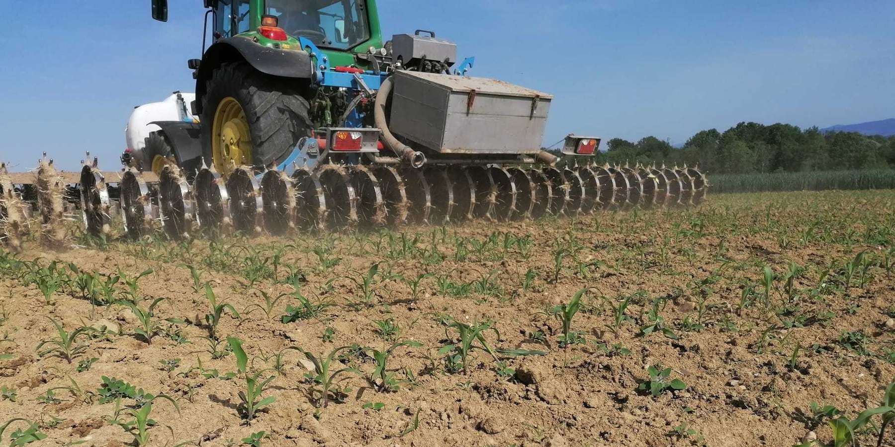 283362377_5198798073502758_4298466429783383797_n.jpg © BWSB 283362377_5198798073502758_4298466429783383797_n.jpg © BWSB