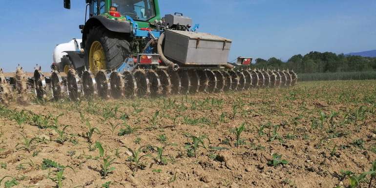 283362377_5198798073502758_4298466429783383797_n.jpg © BWSB 283362377_5198798073502758_4298466429783383797_n.jpg © BWSB