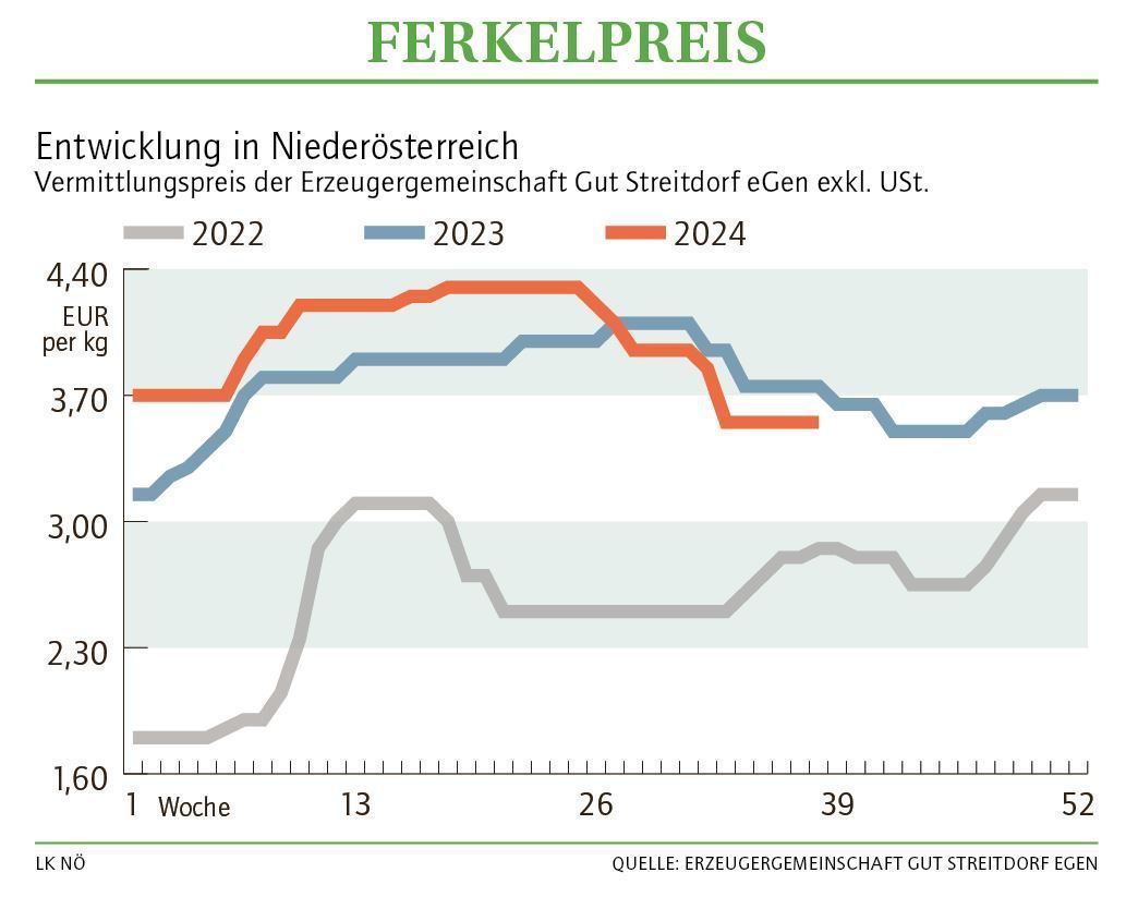 Grafik Ferkelpreis 38_2024.jpg © LK NÖ