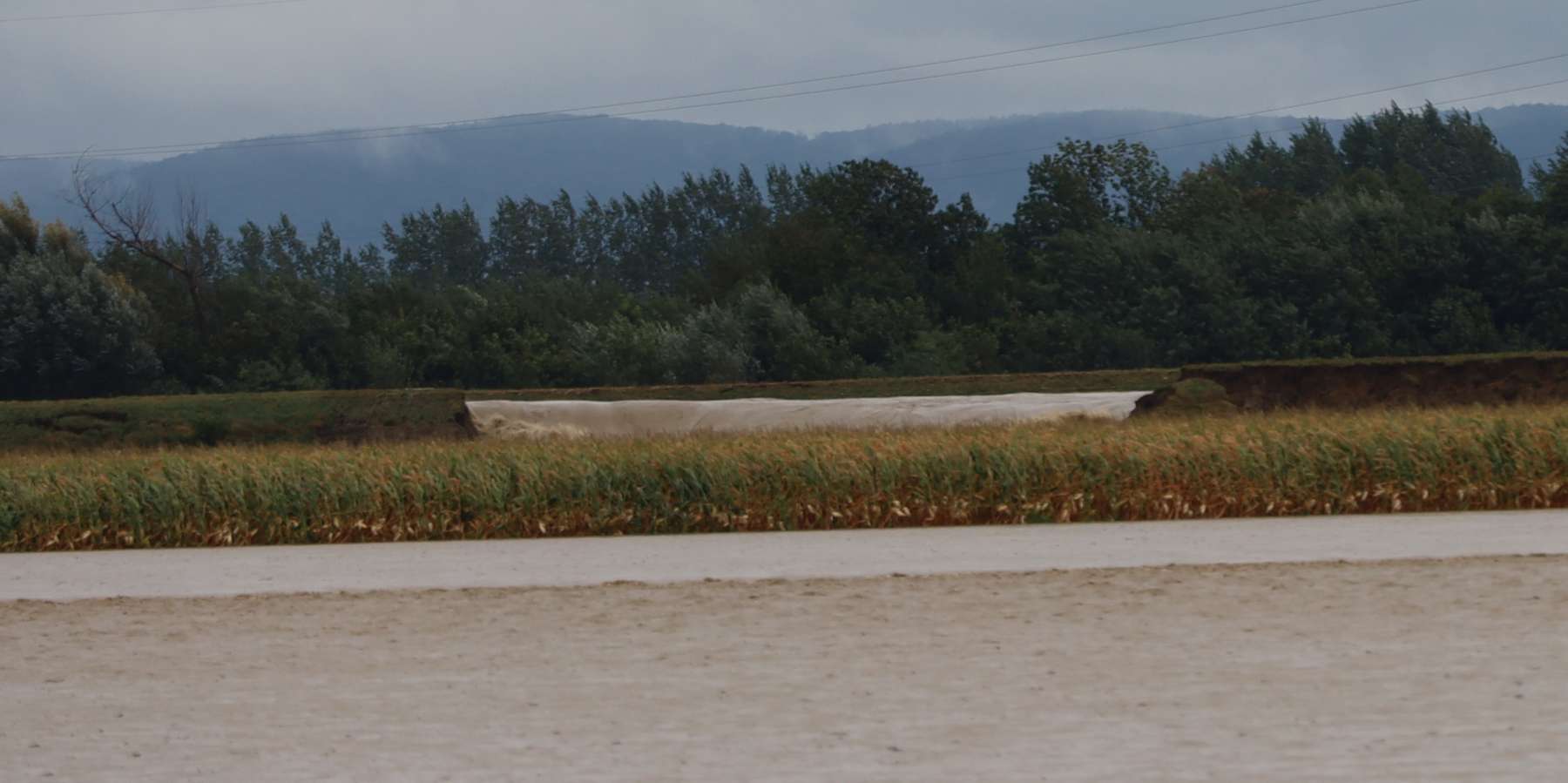 Hochwasser 2024.jpg