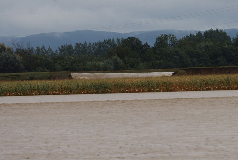 Hochwasser 2024.jpg