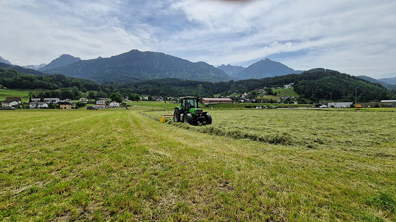 Grüner Bericht © LK Vbg.jpg