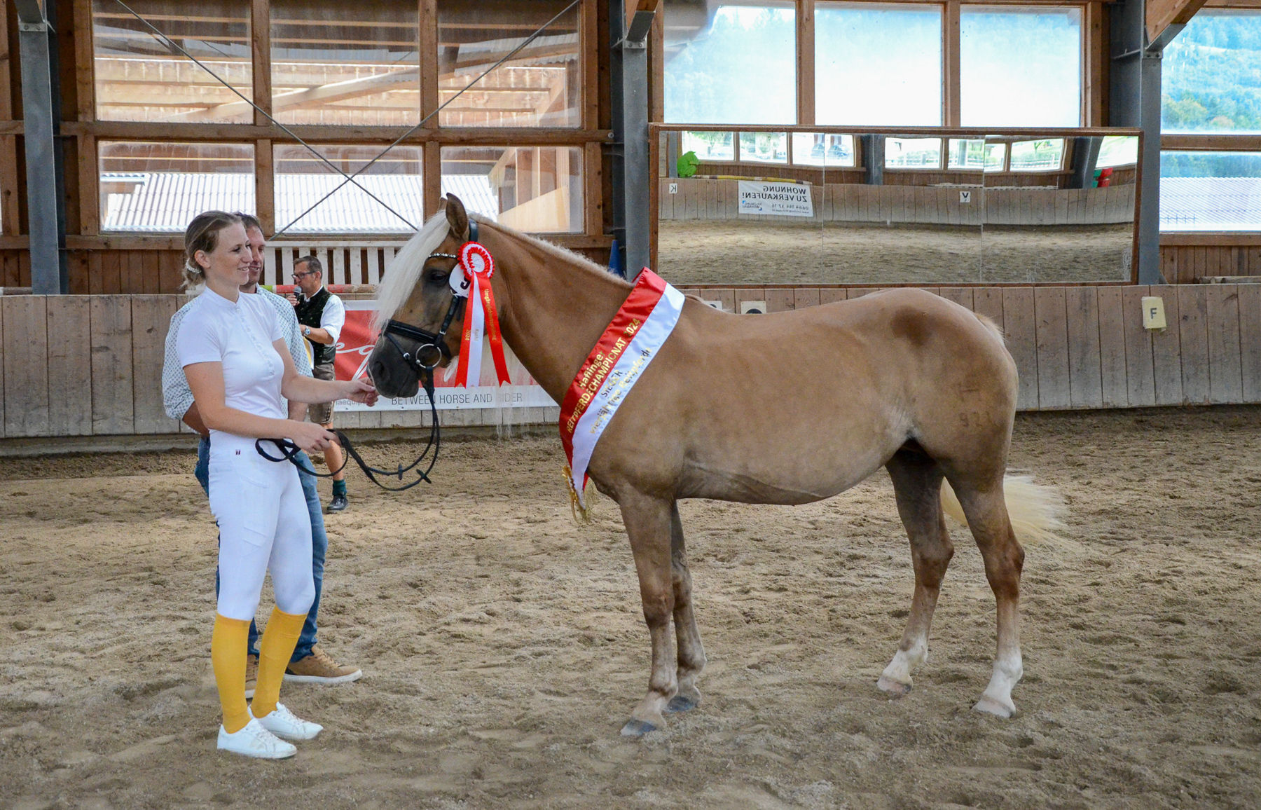 Vielversprechende Fohlen und Reitpferde in Kuchl.jpg © Pferdezucht Salzburg