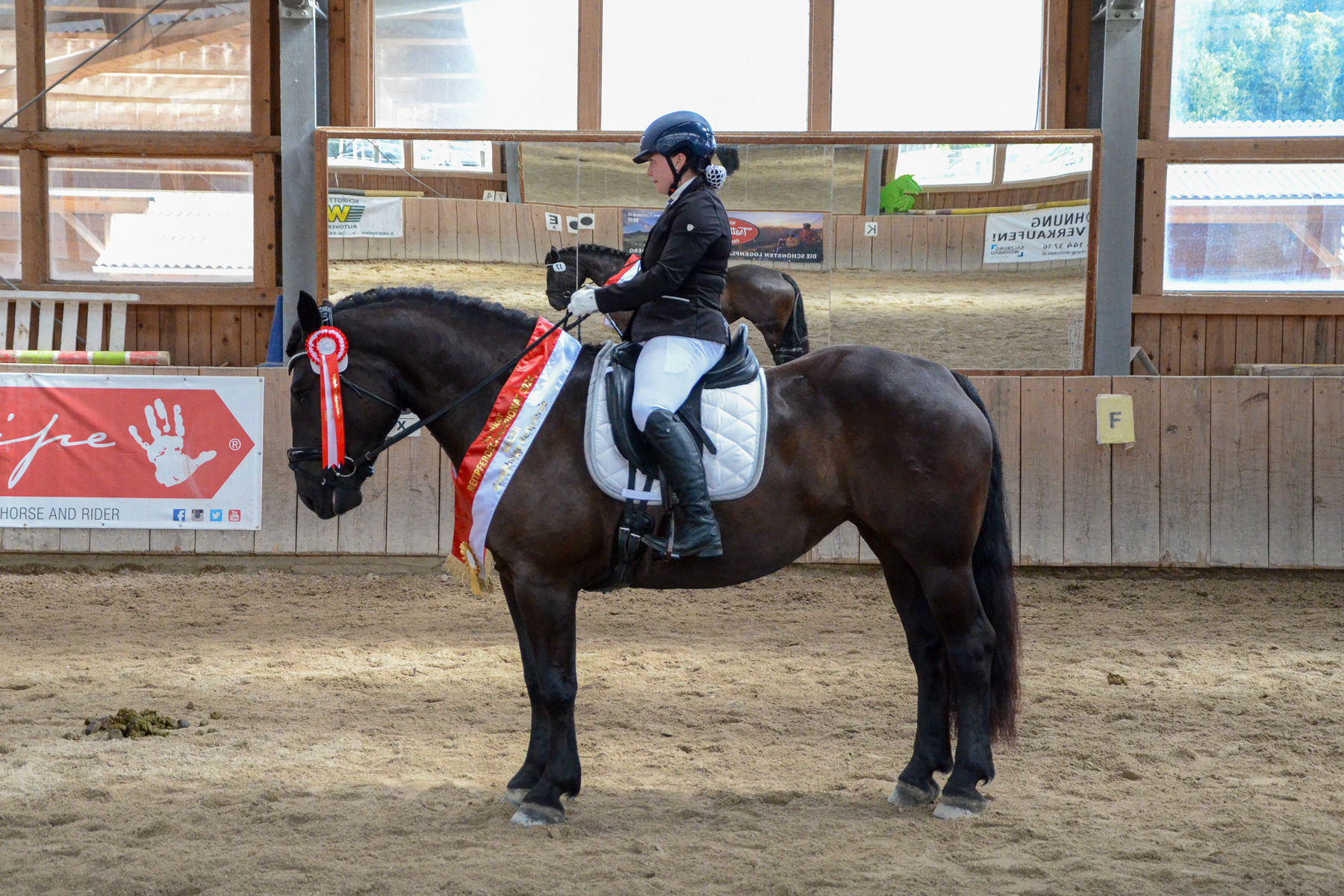 Vielversprechende Fohlen und Reitpferde in Kuchl.jpg © Pferdezucht Salzburg Vielversprechende Fohlen und Reitpferde in Kuchl.jpg © Pferdezucht Salzburg